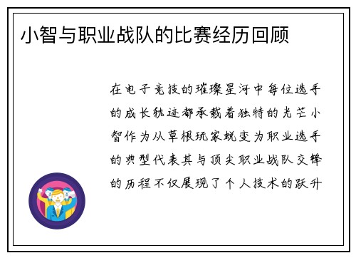 小智与职业战队的比赛经历回顾